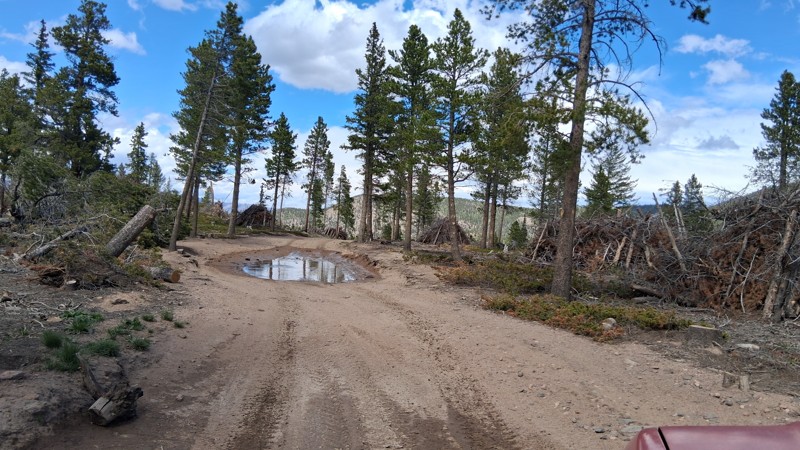 Pierson Park Trail Review Photo