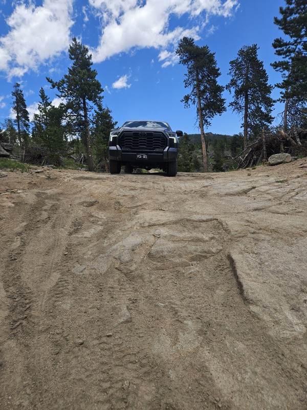 Pierson Park Trail Review Photo