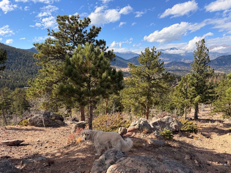 Pierson Park Trail Review Photo