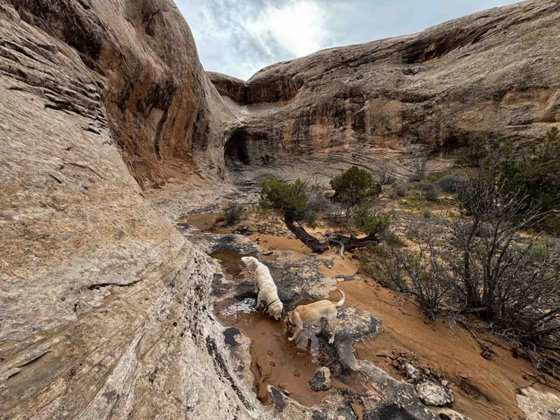 Lost World Trail Review Photo