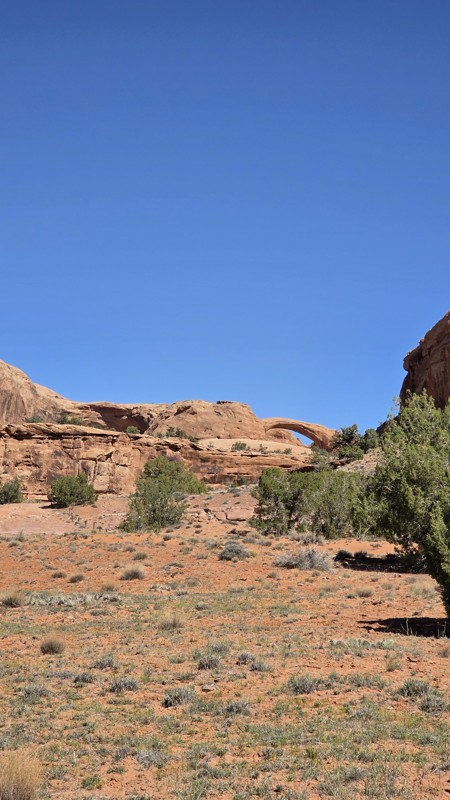 Hunter Canyon Trail Review Photo