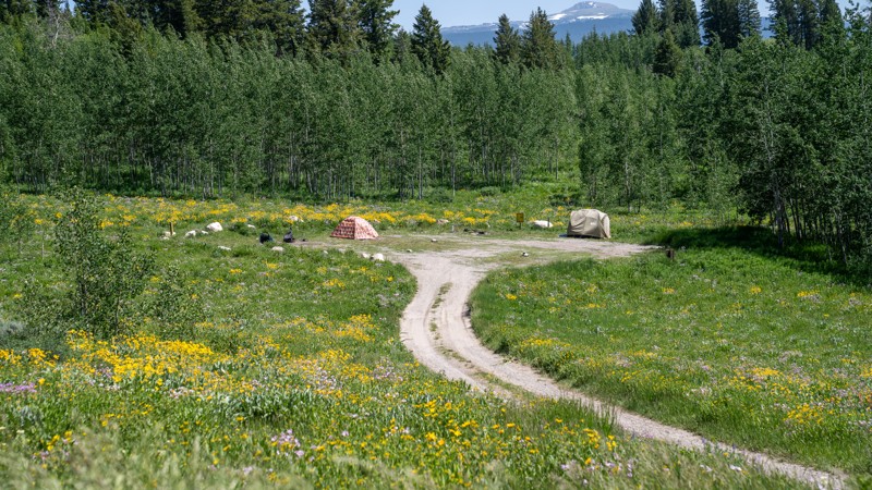 Shadow Mountain Road Trail Review Photo