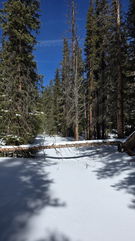 Handcart Gulch Trail Review Photo