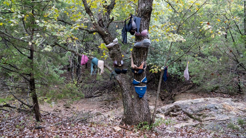 GOAT Trail Review Photo