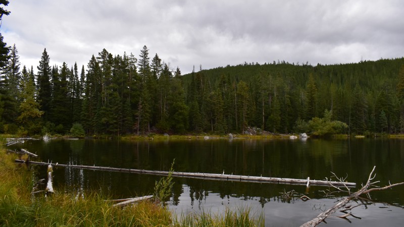 Big Bear Lake Road Trail Review Photo