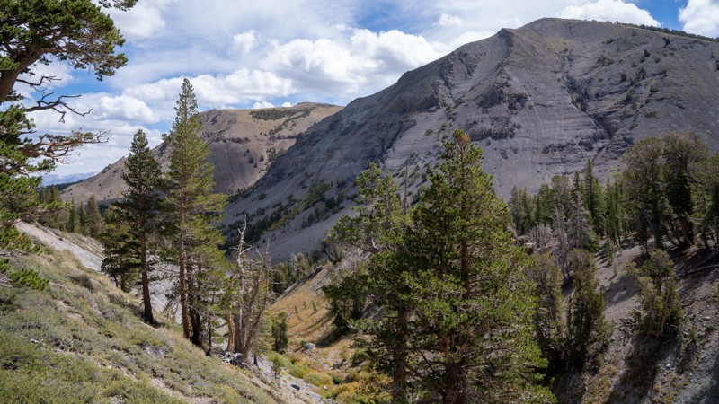 Leavitt Lake Trail Review Photo
