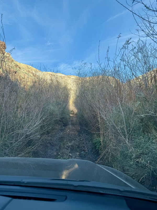 Pleasant Canyon Loop Trail Trail Review Photo