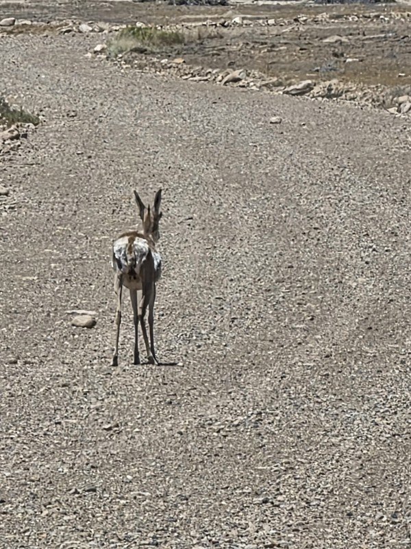 Salt Valley Road Trail Review Photo