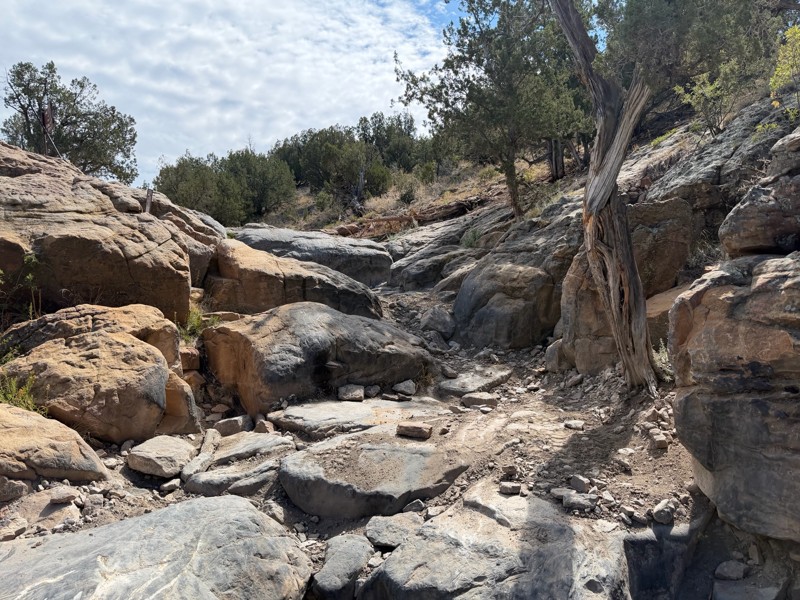 Independence Trail Trail Review Photo