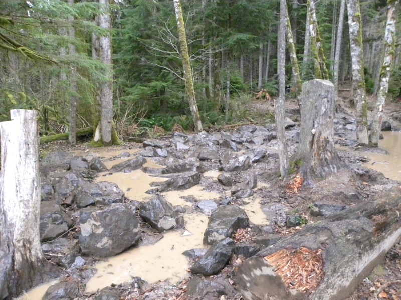 Washington: Elbe Hills OHV - Mainline Trail Hero Photo