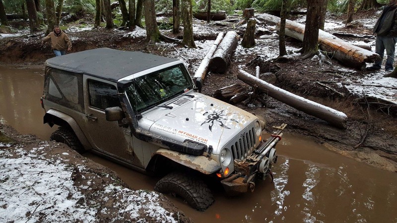Washington: Elbe Hills OHV - Swamp Trail Hero Photo