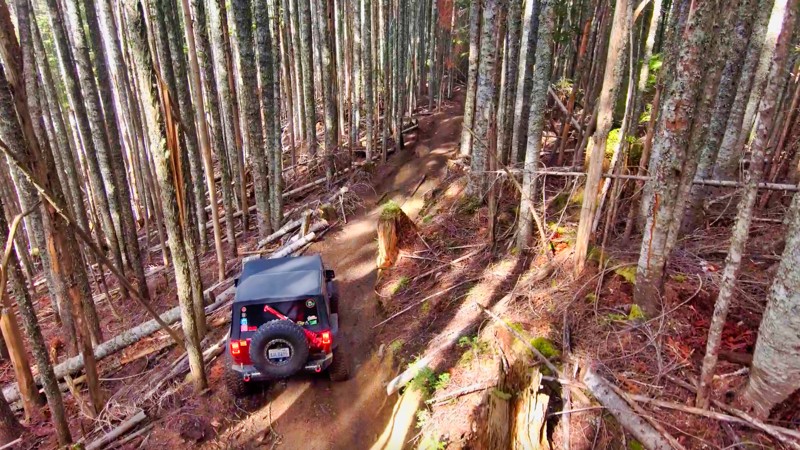 Washington: Evans Creek / Trail #198 Hero Photo