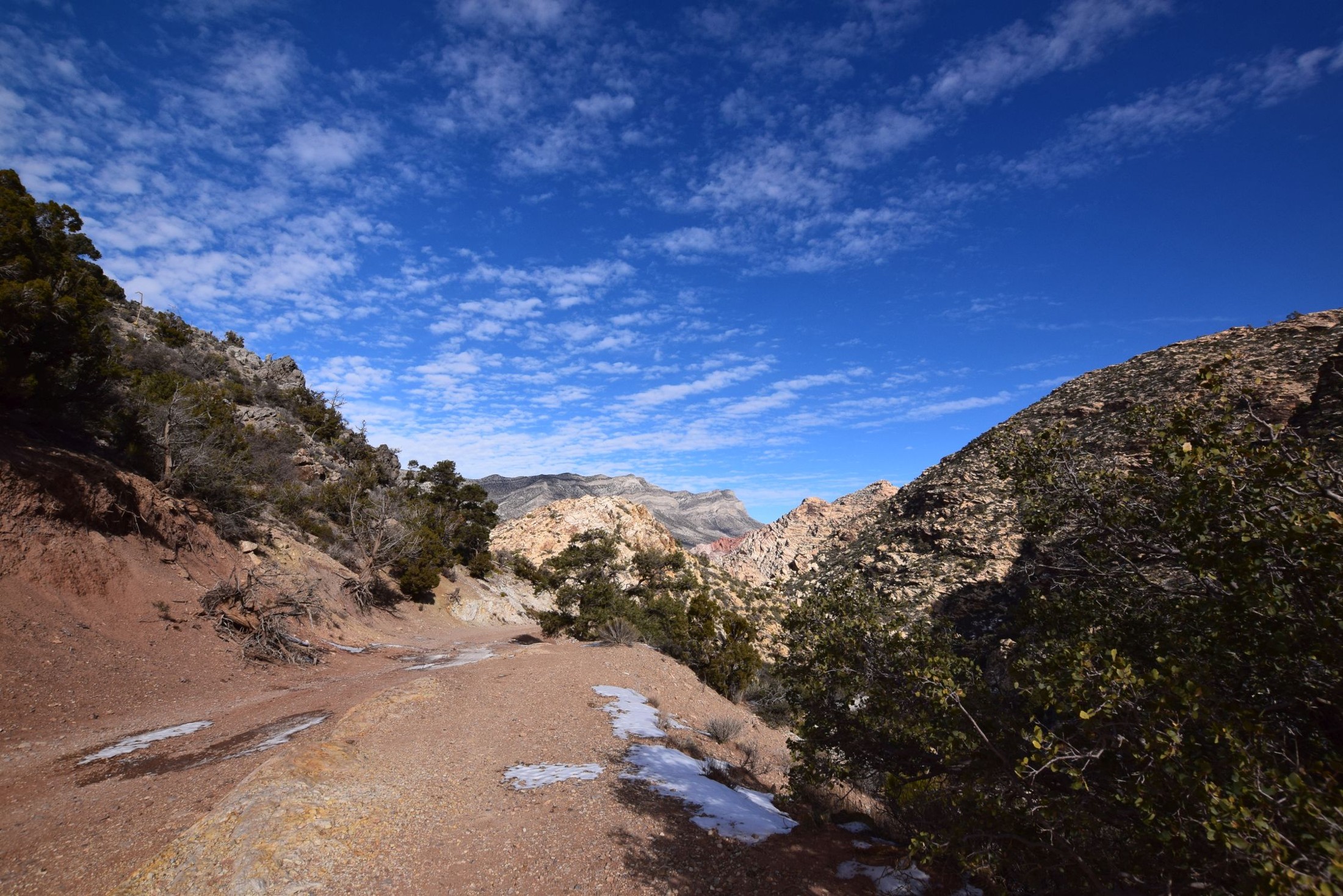 Rocky Gap/Potato Ridge Road Nevada Offroad Trail