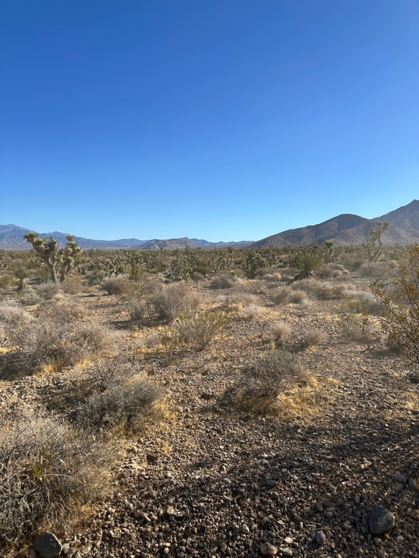 Potosi Pass Trail Review Photo